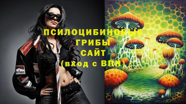 шишки Богородск