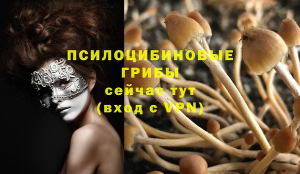 твердый Белокуриха