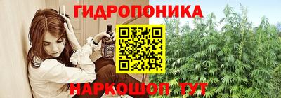 гидропоника Балахна