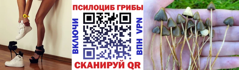 Псилоцибиновые грибы Magic Shrooms  ссылка на мегу сайт  Большой Камень 