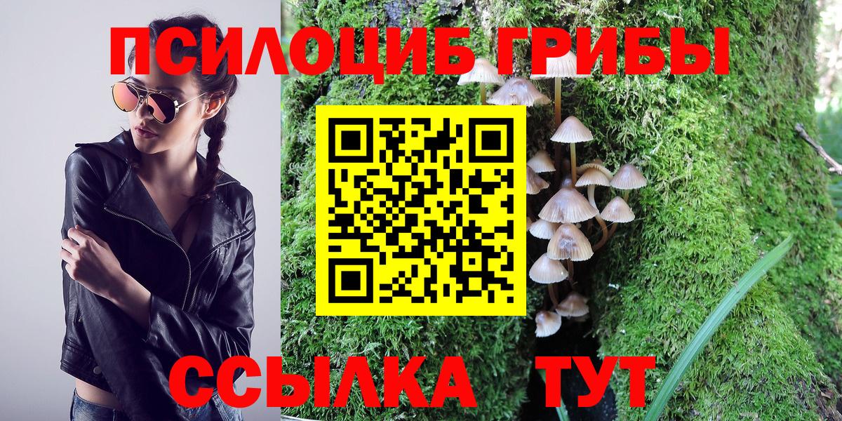 Галлюциногенные грибы ЛСД Большой Камень