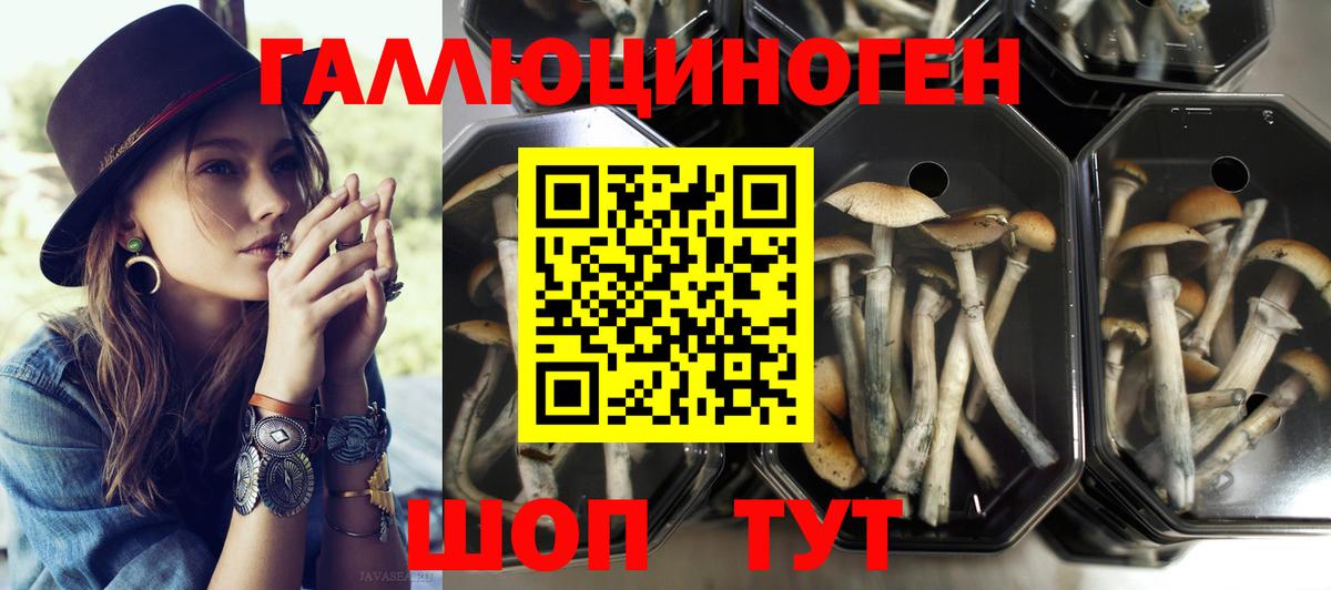 Галлюциногенные грибы ЛСД Большой Камень