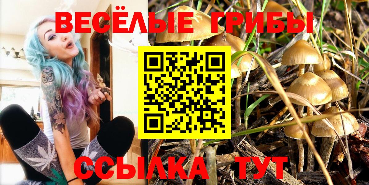 Псилоцибиновые грибы GOLDEN TEACHER  Галлюциногенные грибы мухоморы  Большой Камень 